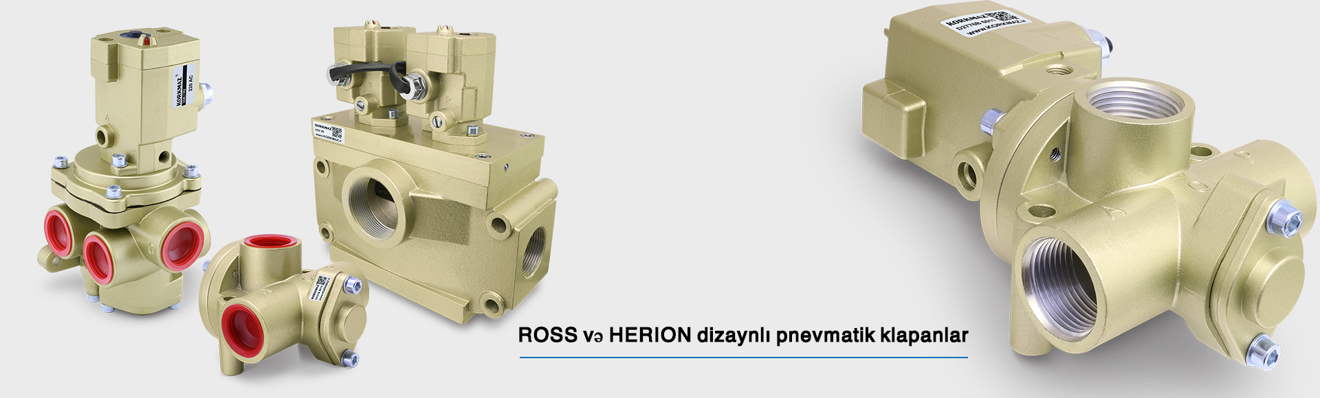 Pnevmatik klapan - Ross dizayn klapan - Herrion dizayn klapan