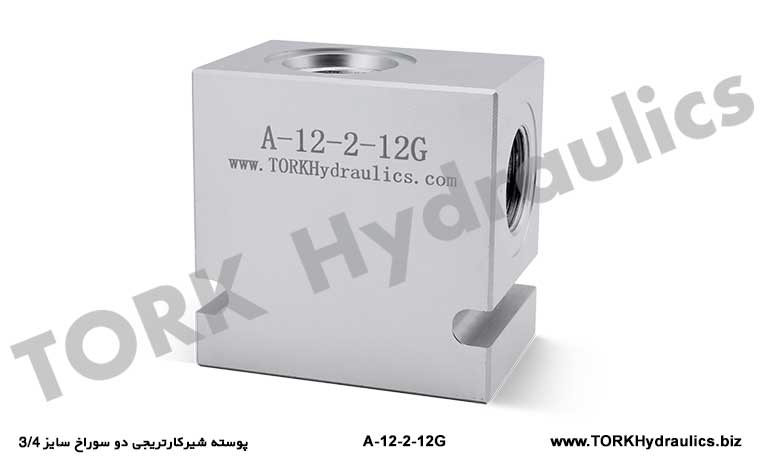 پوسته شیرکارتریجی دو سوراخ سایز 3/4, tork hydraulics hidrolik KARTİÇ GİRİŞ ÇIKIŞ BLOK